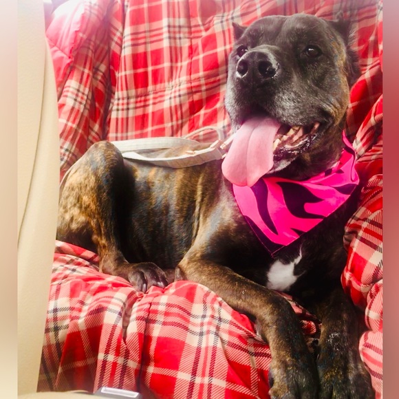 Meet your Posher, Chris - Picture 10 of 12